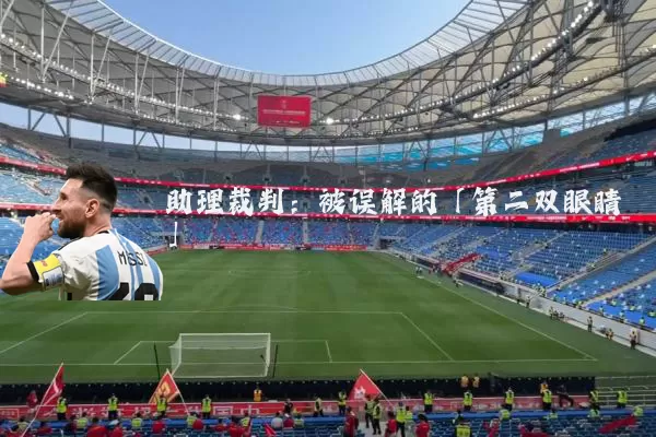 助理裁判：被误解的「第二双眼睛」